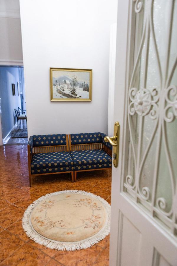 Luxury Downtown 3 Bedroom Apartment By Synagoge With Beautiful View 布达佩斯 外观 照片